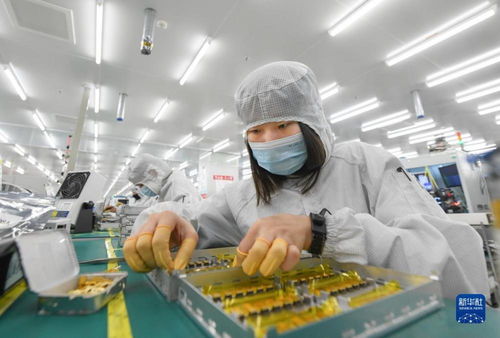 靠譜服務(wù)驅(qū)動技術(shù)創(chuàng)新，標(biāo)準(zhǔn)引領(lǐng)未來——一家光通信企業(yè)的出海秘籍