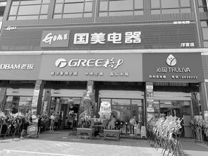 下沉市場家電連鎖換新顏，國美新零售店獲縣域老板點贊